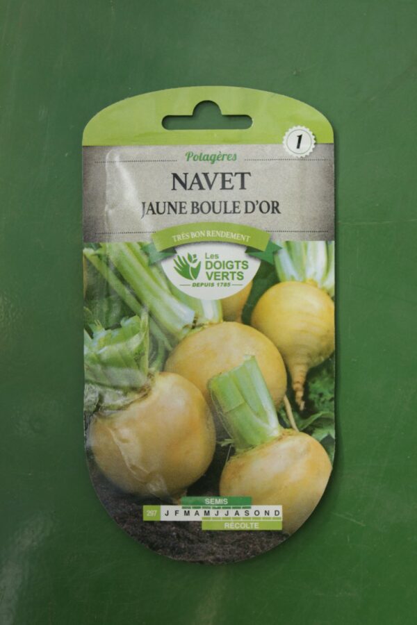 Graines navet jaune boule dor Doigts Verts Jardipradel 2