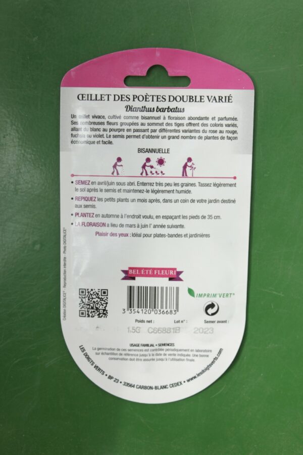 Graines oeillet des poetes double varie Doigts Verts Jardipradel 1