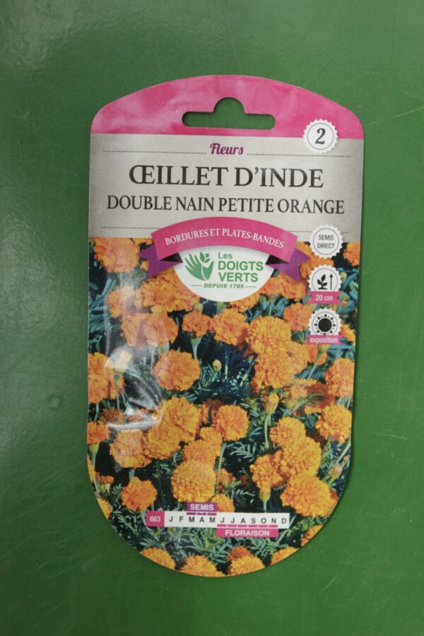 Graines oeillet dinde double nain petite orange Doigts Verts Jardipradel 2