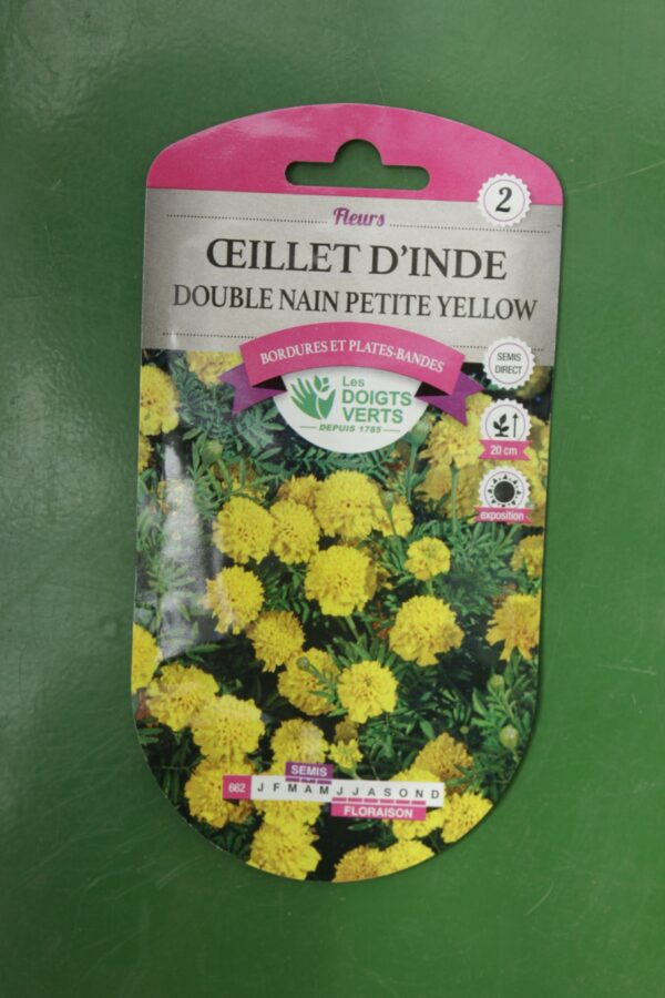 Graines oeillet dinde double nain petite yellow Doigts Verts Jardipradel 2