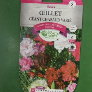 Graines oeillet geant chabaud varie Doigts Verts Jardipradel 2