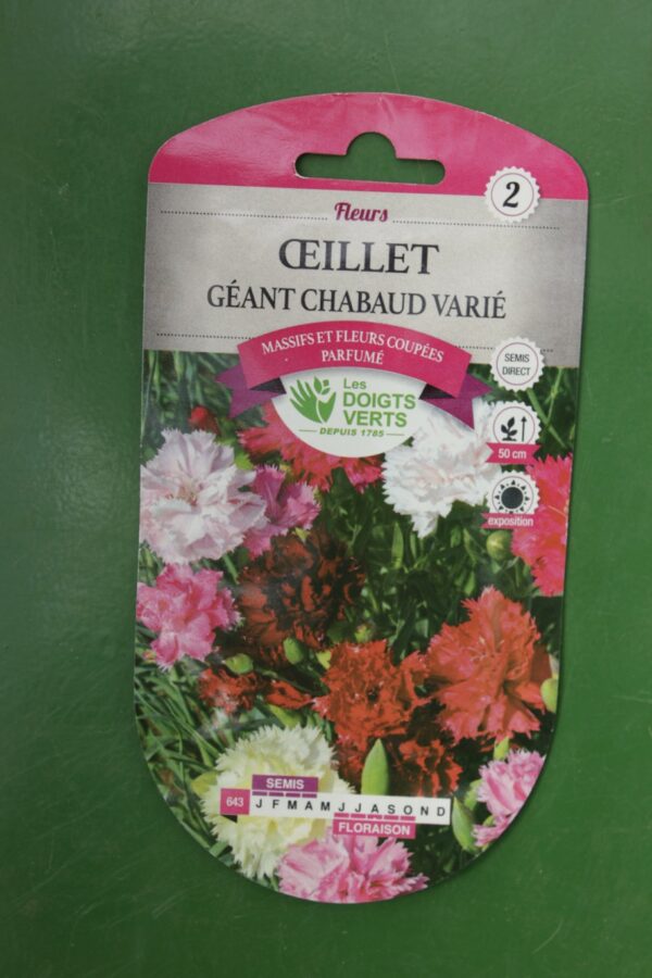 Graines oeillet geant chabaud varie Doigts Verts Jardipradel 2