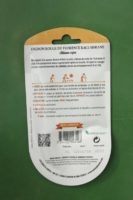 Graines oignon rouge de florence race simiane Doigts Verts Jardipradel 1