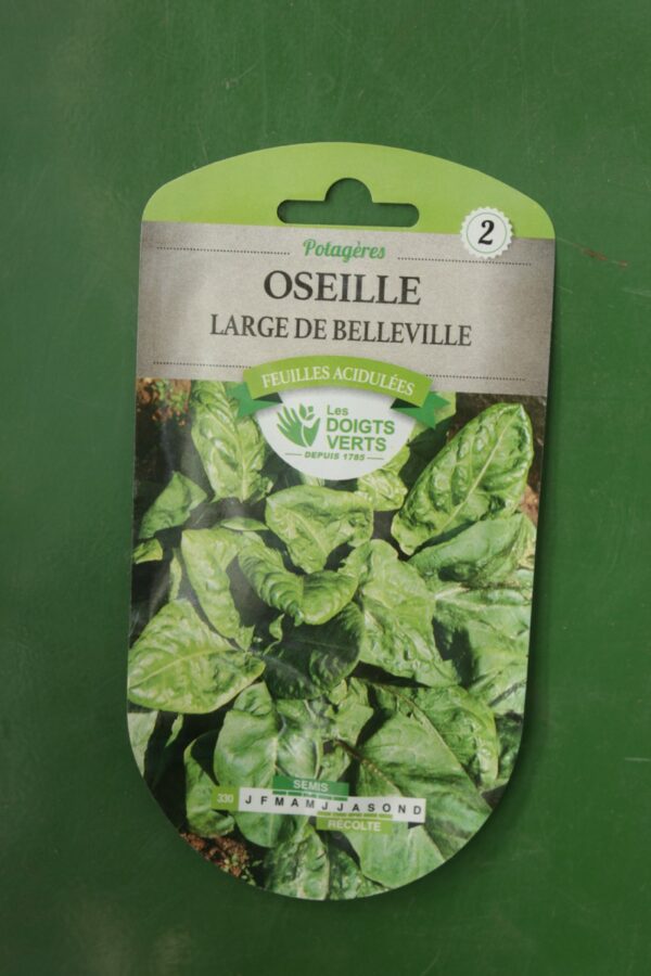 Graines oseille large de belleville Doigts Verts Jardipradel 2