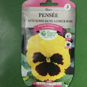 Graines pensee geante suisse jaune a coeur noir Doigts Verts Jardipradel