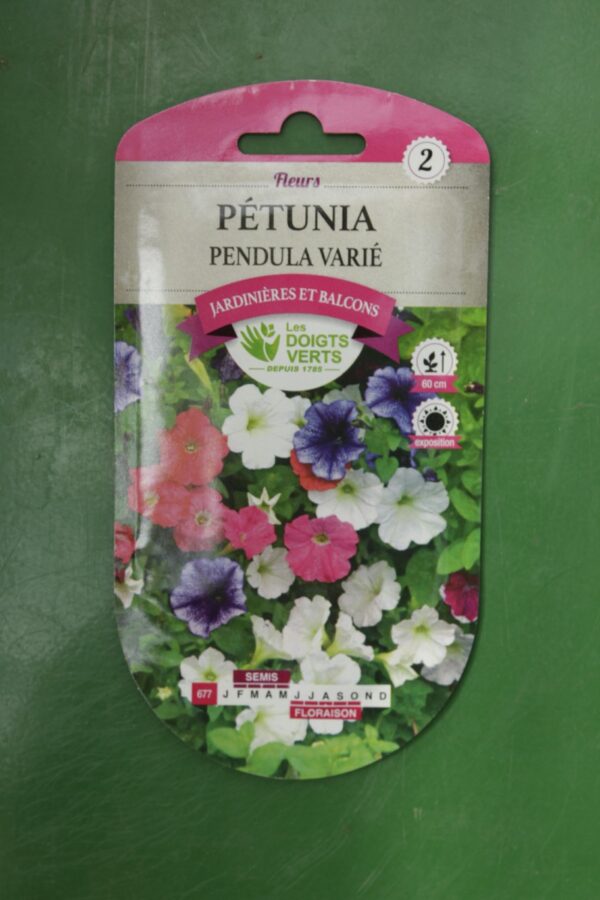 Graines petunia pendula varie Doigts Verts Jardipradel 2