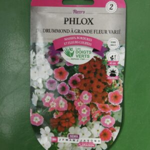 Graines phlox de drummond a grande fleur varie Doigts Verts Jardipradel 2