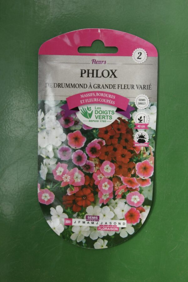 Graines phlox de drummond a grande fleur varie Doigts Verts Jardipradel 2