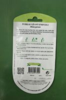 Graines poireau geant dhiver Doigts Verts Jardipradel 2