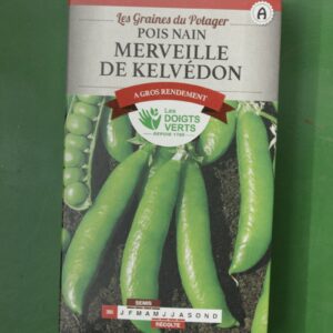 Graines pois nain merveille de kelvedon Doigts Verts Jardipradel 2