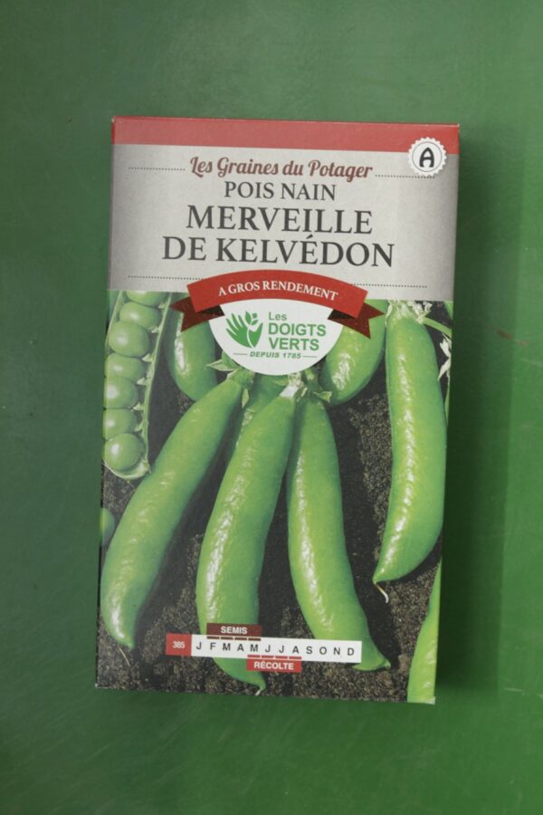 Graines pois nain merveille de kelvedon Doigts Verts Jardipradel 2