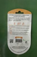 Graines potiron giraumon turban turc Doigts Verts Jardipradel 1