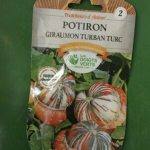 Graines potiron giraumon turban turc Doigts Verts Jardipradel 2