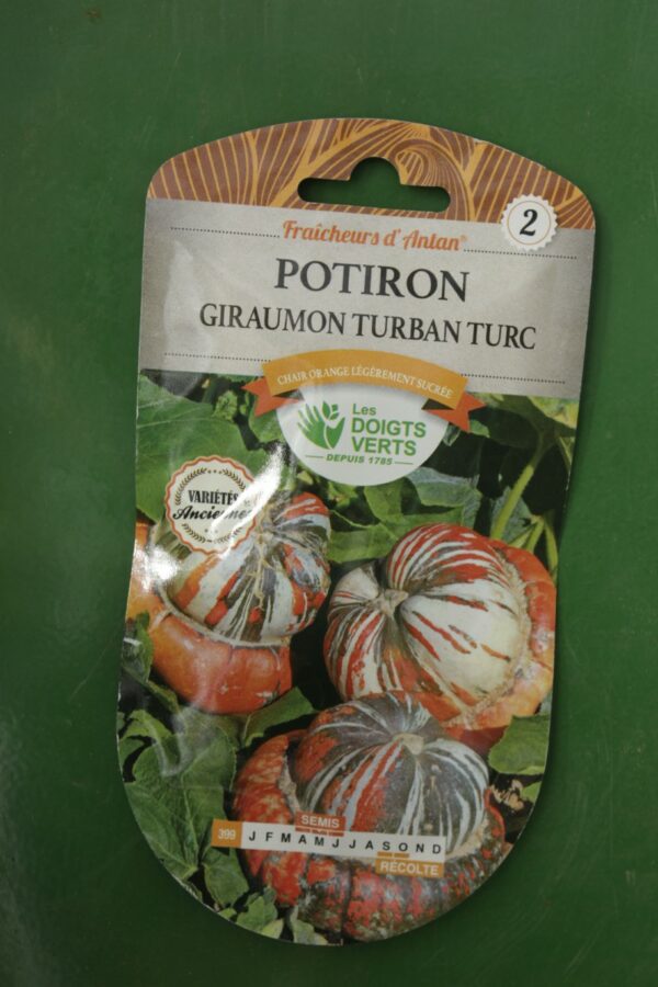 Graines potiron giraumon turban turc Doigts Verts Jardipradel 2