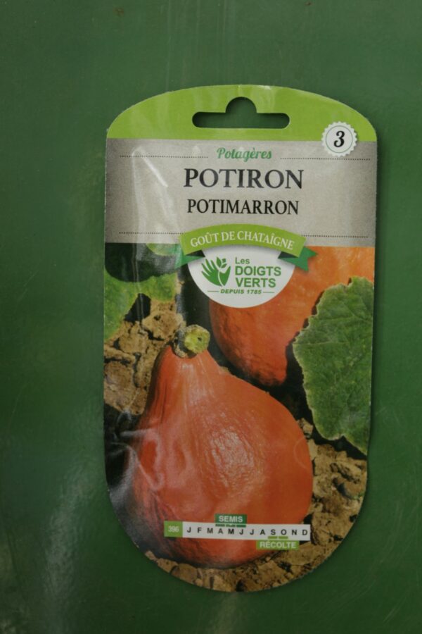 Graines potiron potimarron Doigts Verts Jardipradel 2