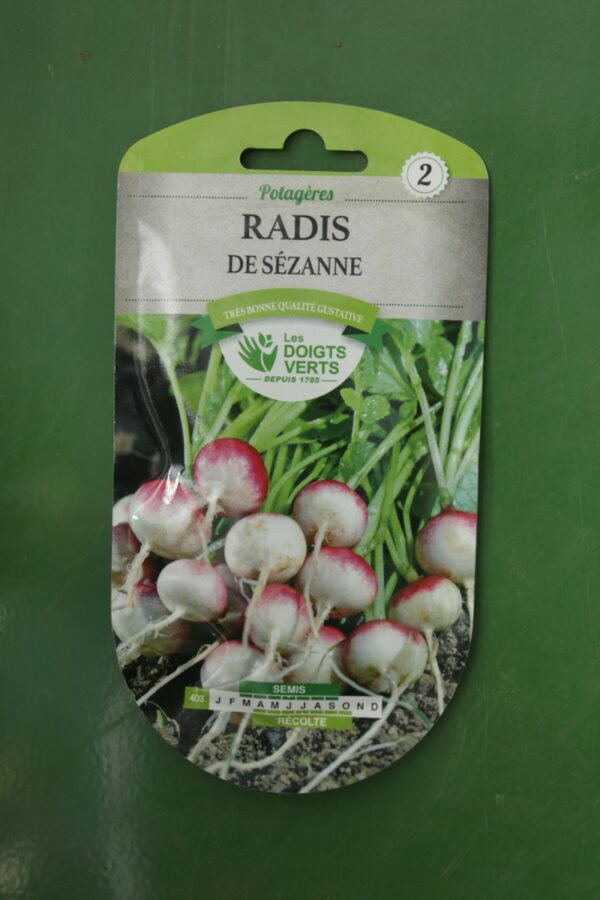 Graines radis de sezanne Doigts Verts Jardipradel 2