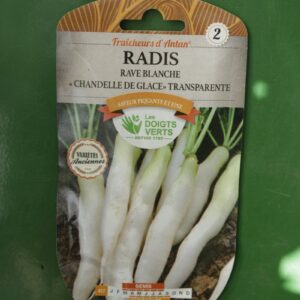 Graines radis rave blanche chandelle de glace transparente Doigts Verts Jardipradel 2