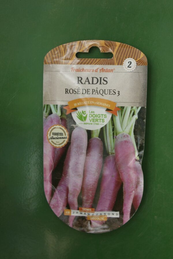 Graines radis rose de paques 3 Doigts Verts Jardipradel 2