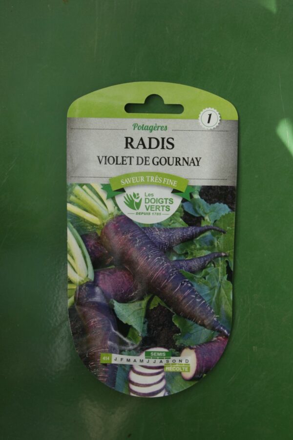 Graines radis violet de gournay Doigts Verts Jardipradel 2