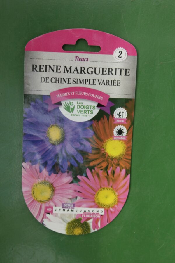 Graines reine marguerite de chine simple variee Doigts Verts Jardipradel 2