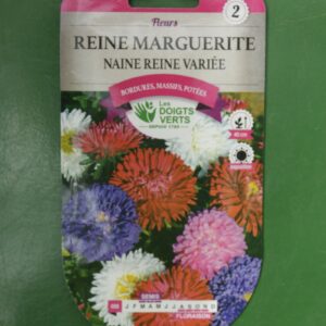 Graines reine marguerite naine reine variee Doigts Verts Jardipradel 2