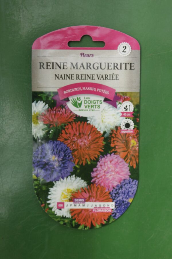 Graines reine marguerite naine reine variee Doigts Verts Jardipradel 2