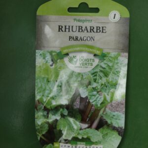 Graines rhubarbe paragon Doigts Verts Jardipradel 2