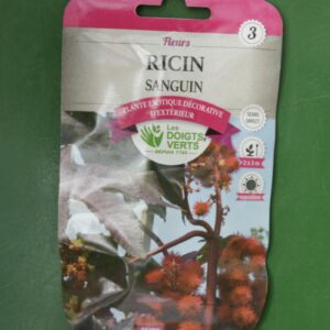 Graines ricin sanguin Doigts Verts Jardipradel 2