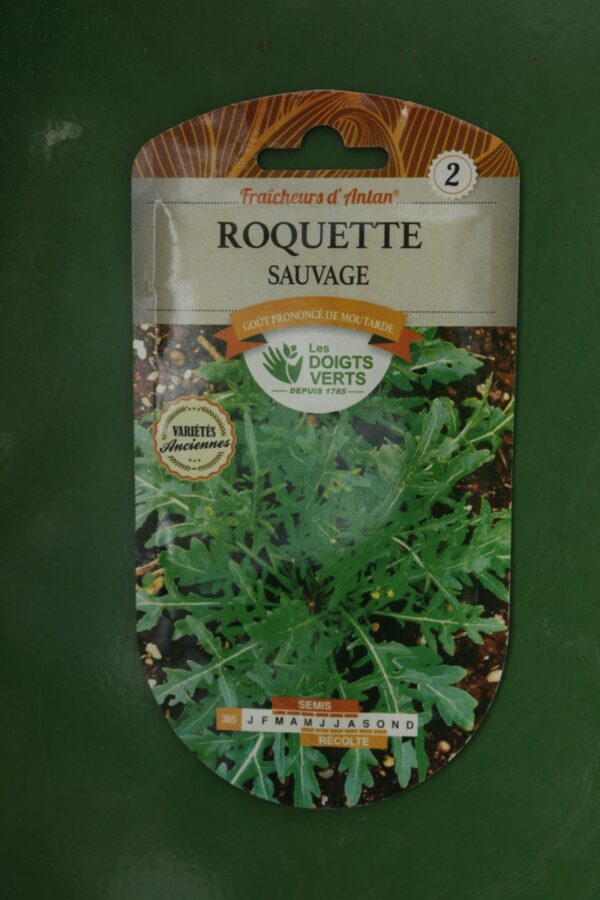 Graines roquette sauvage Doigts Verts Jardipradel 2