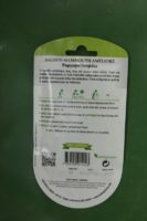 Graines salsifis mammouth ameliore Doigts Verts Jardipradel 1