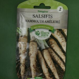 Graines salsifis mammouth ameliore Doigts Verts Jardipradel 2