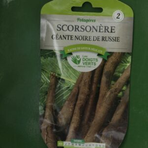 Graines scorsonere Doigts Verts Jardipradel 2