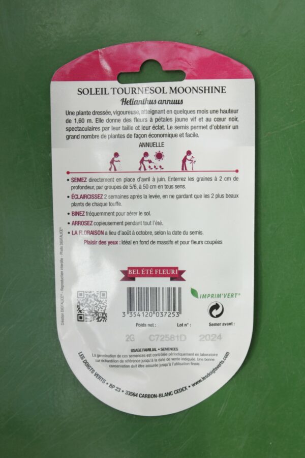 Graines soleil tournesol moonshire Doigts Verts Jardipradel 1