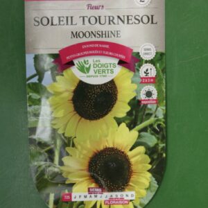 Graines soleil tournesol moonshire Doigts Verts Jardipradel 2