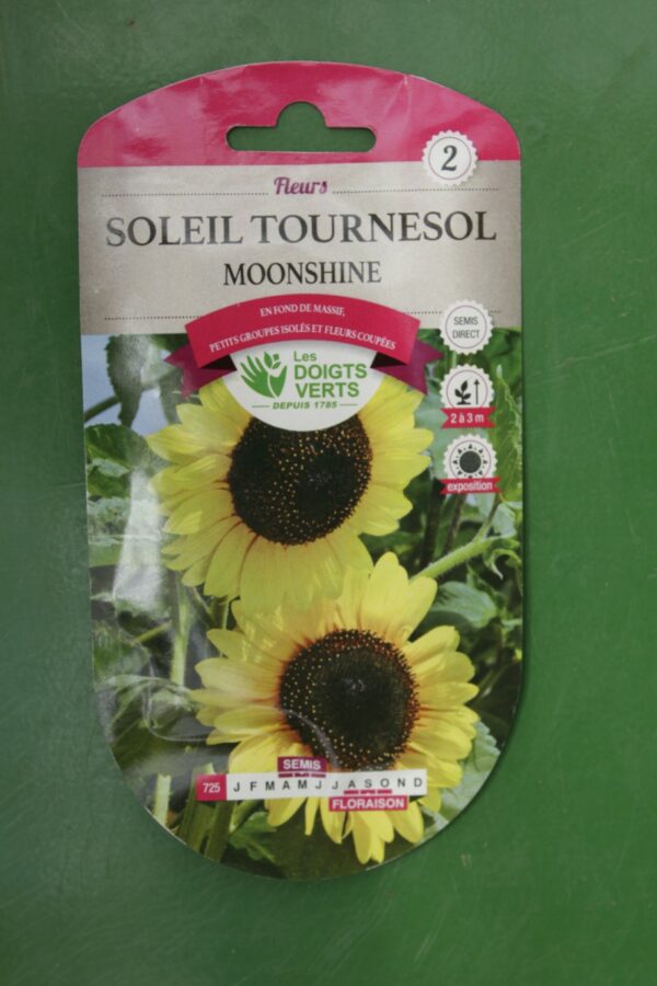 Graines soleil tournesol moonshire Doigts Verts Jardipradel 2