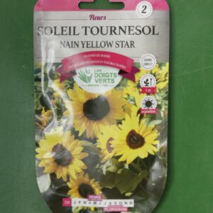 Graines soleil tournesol nain yellow star Doigts Verts Jardipradel 2