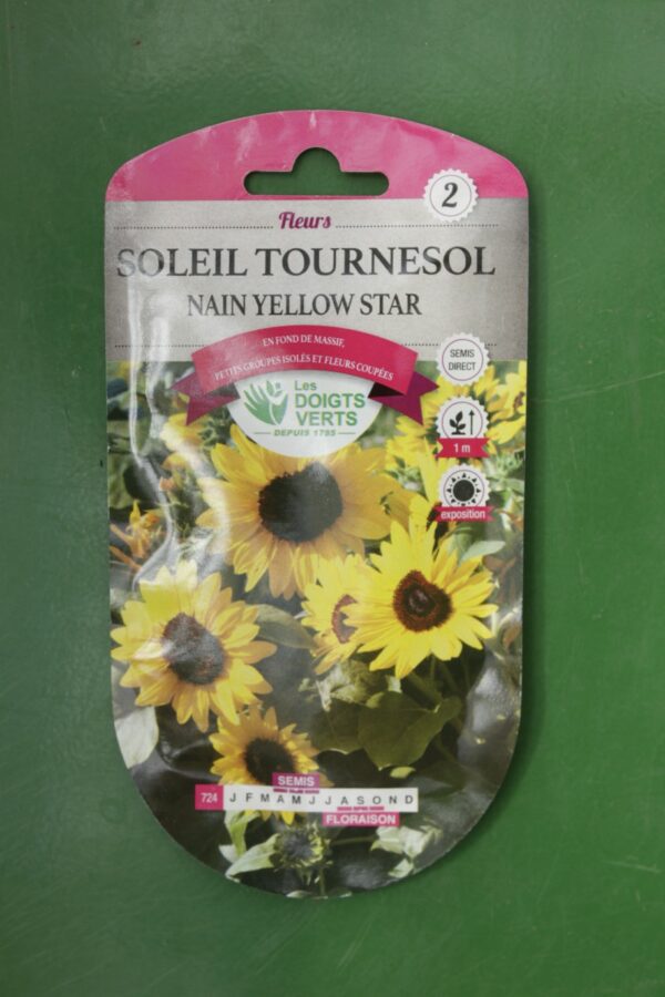 Graines soleil tournesol nain yellow star Doigts Verts Jardipradel 2