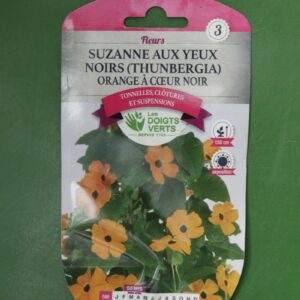 Graines suzanne aux yeux noirs thunbergia orange a coeur noir Doigts Verts Jardipradel 2