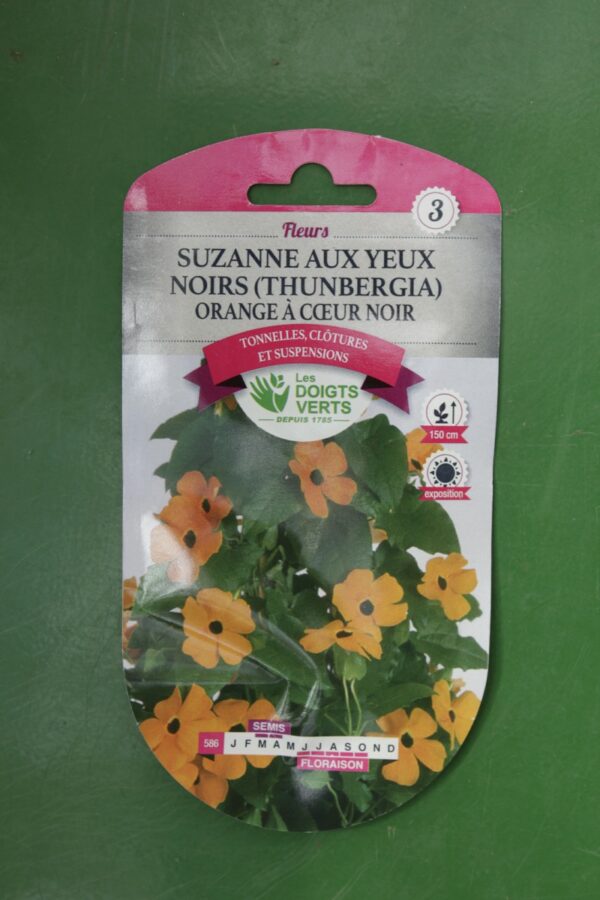 Graines suzanne aux yeux noirs thunbergia orange a coeur noir Doigts Verts Jardipradel 2