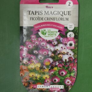 Graines tapis magique ficoide criniflorum Doigts Verts Jardipradel 2