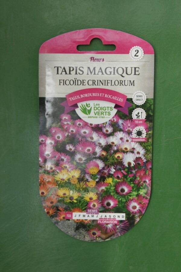 Graines tapis magique ficoide criniflorum Doigts Verts Jardipradel 2