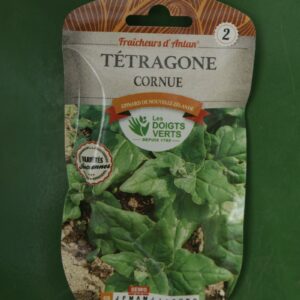 Graines tetragone cornue Doigts Verts Jardipradel 2