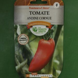 Graines tomate andine cornue Doigts Verts Jardipradel 2
