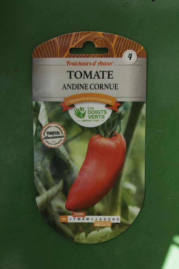Graines tomate andine cornue Doigts Verts Jardipradel 2