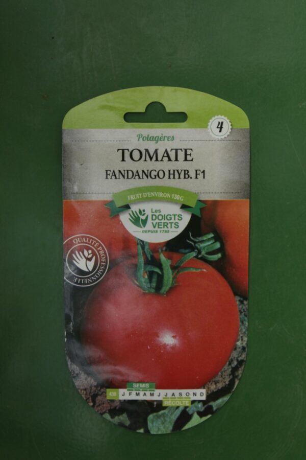 Graines tomate fandango hybride f1 Doigts Verts Jardipradel 2