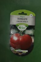 Graines tomate ferline hybride f1 Doigts Verts Jardipradel 2