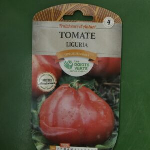 Graines tomate liguria Doigts Verts Jardipradel 2