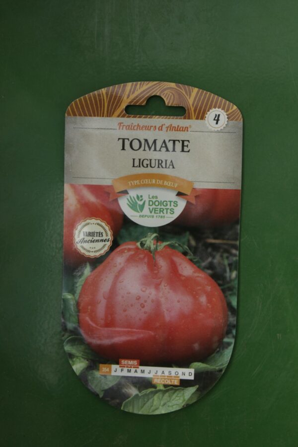Graines tomate liguria Doigts Verts Jardipradel 2