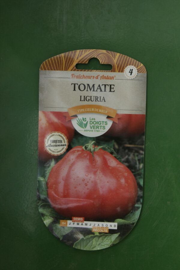 Graines tomate liguria Doigts Verts Jardipradel 2