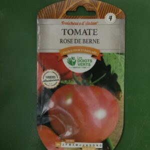 Graines tomate rose de berne Doigts Verts Jardipradel 2